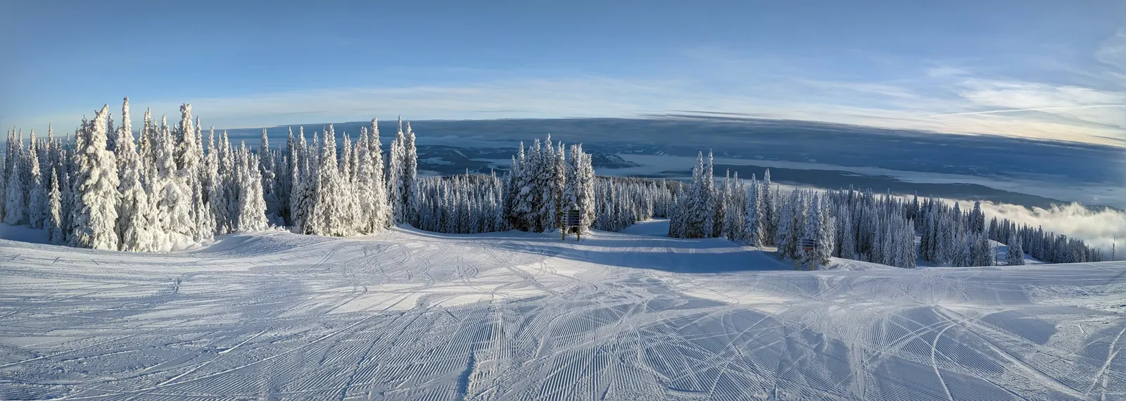 Panorama of snow-covered trees along the top of SilverStar