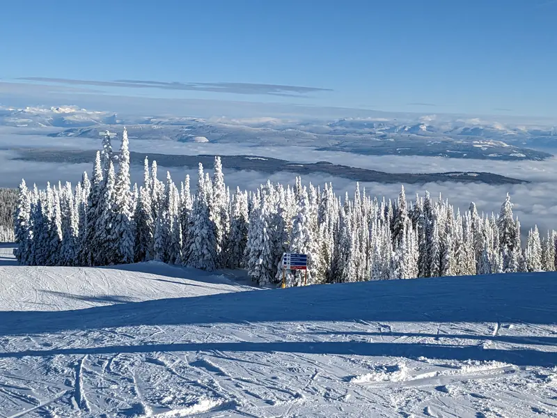 Fresh corduroy and frosted trees above the valley cloud