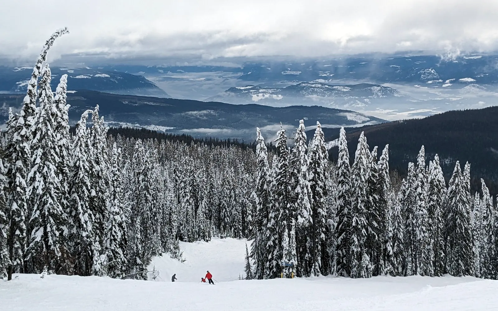 View from Christmas Bowl run in Alpine Meadows at SilverStar, looking down over snow-covered trees toward the valley and Vernon