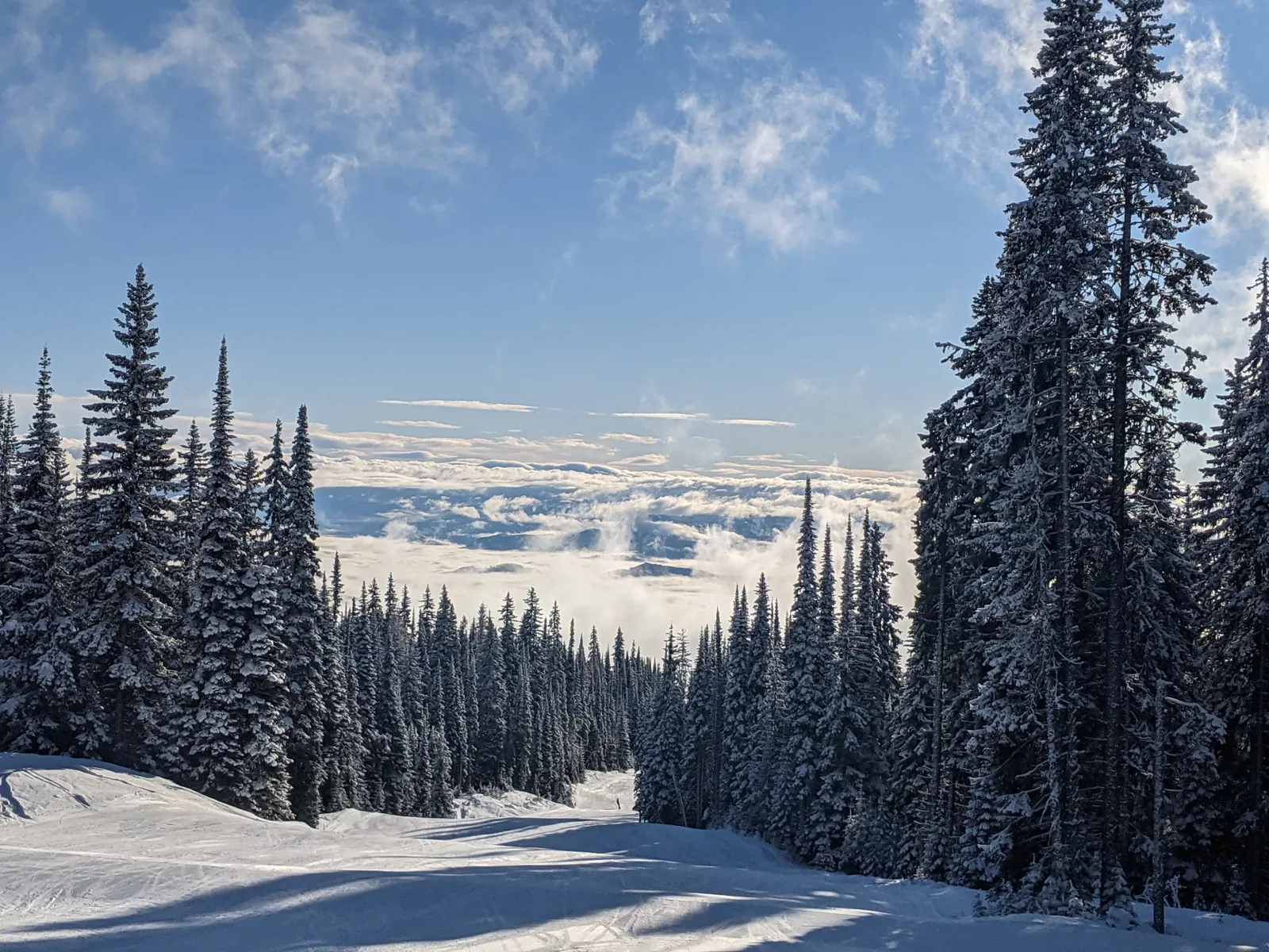 Snowy trail at SilverStar